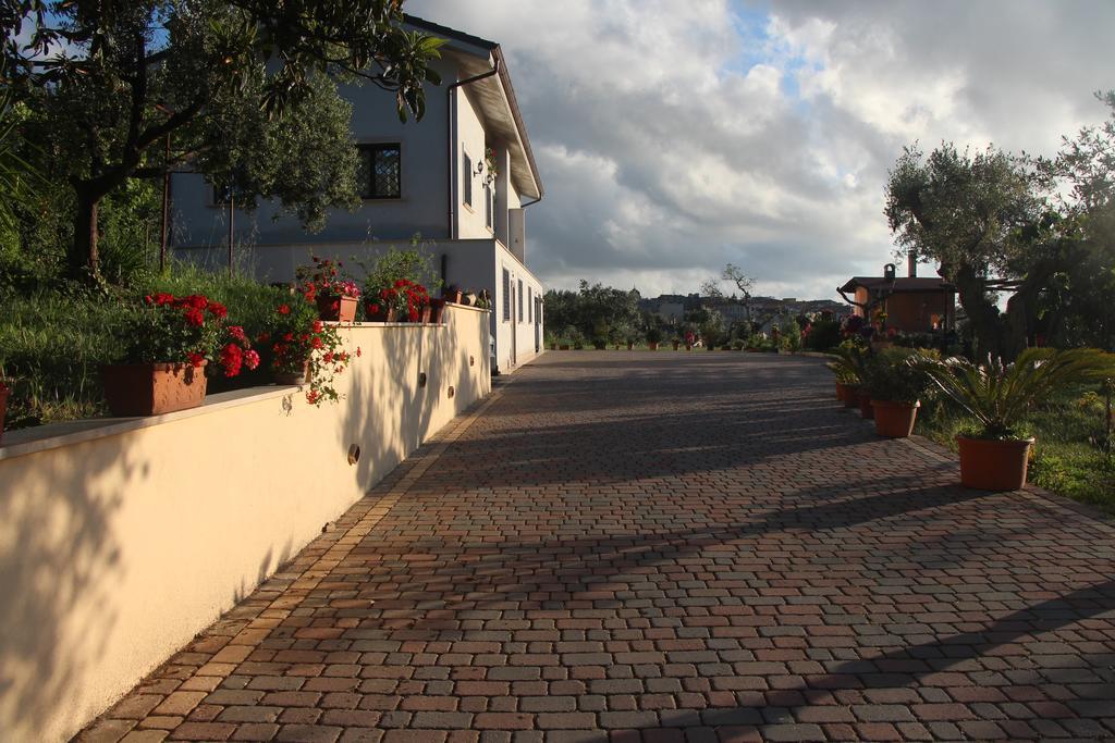 B&B La Terrazza Di Frascati Exteriér fotografie