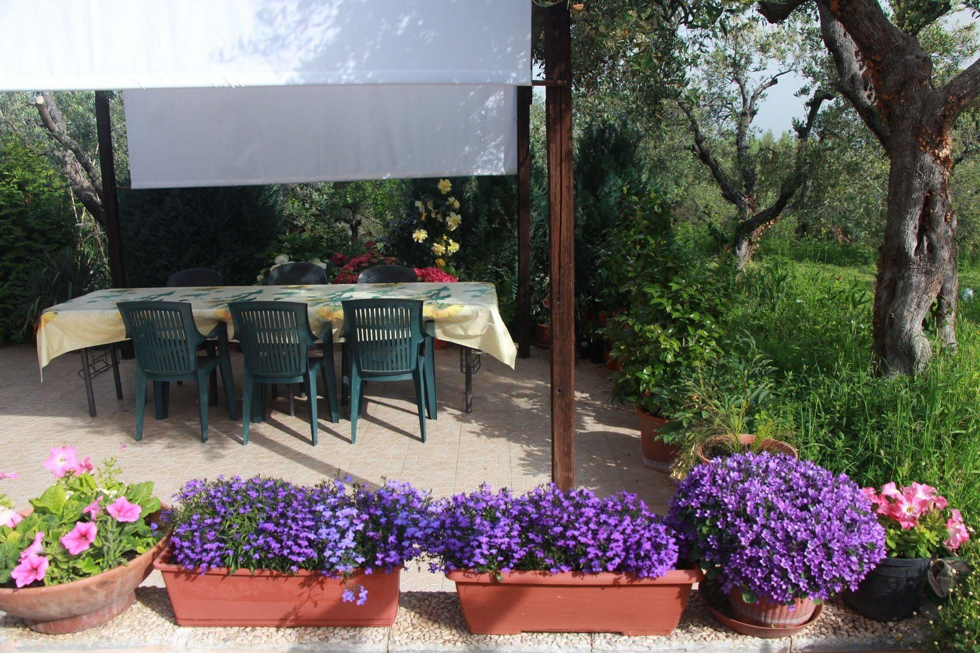 B&B La Terrazza Di Frascati Exteriér fotografie